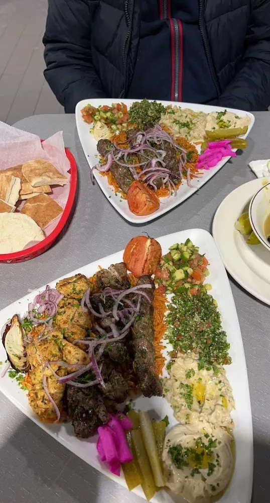 Kefta Kabab & Shish Tawook Chicken
